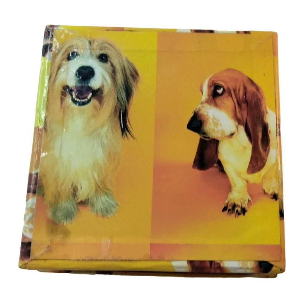 Basset Hound Jewelry Gift Box Yellow Orange